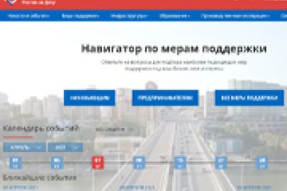 О сопровождении Информационного портала для бизнеса