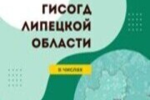 ГИСОГД с РГИС Липецкой области в числах
