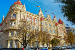 Продолжаем сопровождать базы данных МСМЭВ Администрации города Ростова-на-Дону