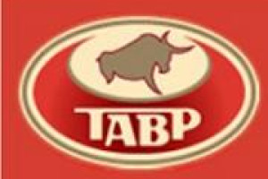 Итоги развития Системы автоматизации продаж и мерчендайзинга Ростовского колбасного завода «Тавр» в 2010 году