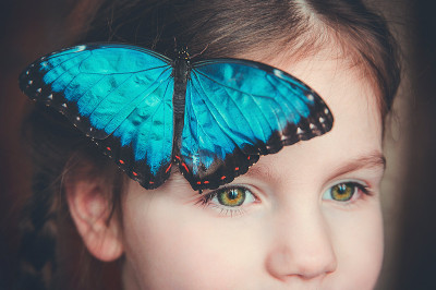 «Интернет-Фрегат» окажет помощь по сопровождению системы для благотворительного фонда «Дети-бабочки»