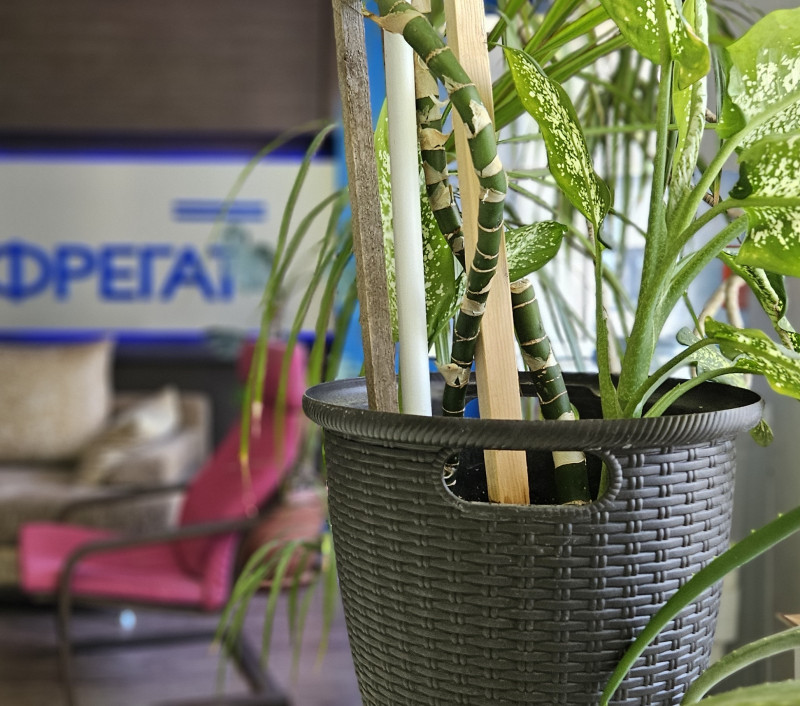 C# Developer / Программист / Разработчик C#